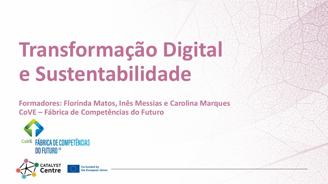 Digital Transformation and Sustainability Course